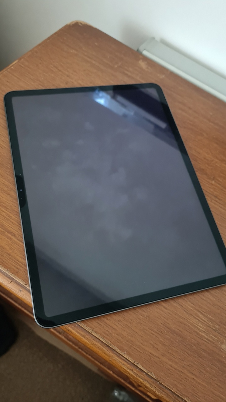 iPad Pro 12.9" M2 256GB